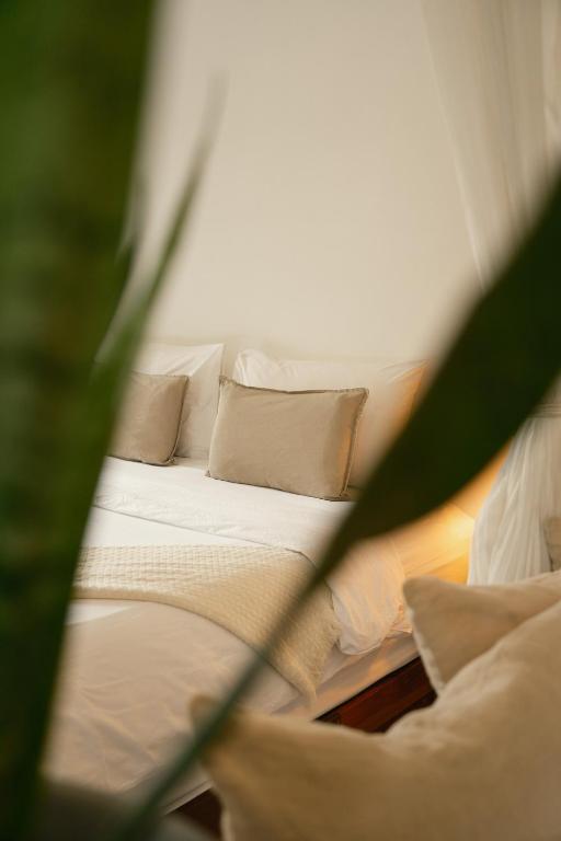 Big Tree Boutique Hotel – Koh Tao
