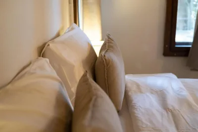 Big Tree Boutique Hotel – Photos 10