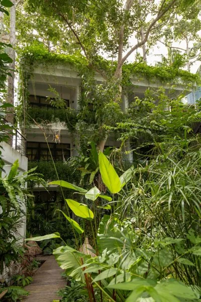 Big Tree Boutique Hotel – Photos 14